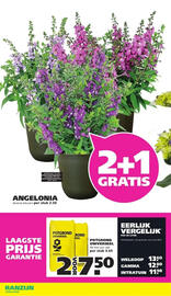 Ranzijn folder week 24 Pagina 2