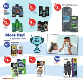 Family Dollar Weekly Ad week 24 Page 8