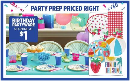 Dollar General Weekly Ad week 24 Page 10