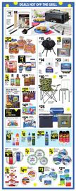 Dollar General Weekly Ad week 24 Page 2