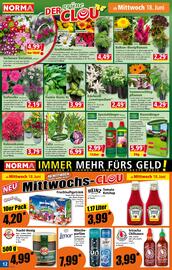 Norma Flugblatt woche 25 Seite 12