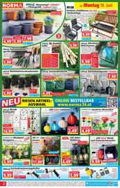 Norma Flugblatt woche 25 Seite 2