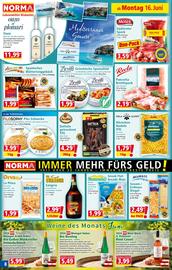 Norma Flugblatt woche 25 Seite 8