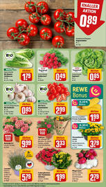 REWE Prospekt woche 24 Seite 7