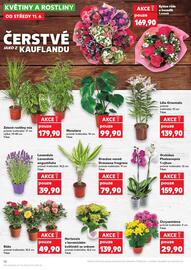 Kaufland leták týden 24 Strana 10