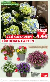 Kaufland Prospekt woche 24 Seite 4