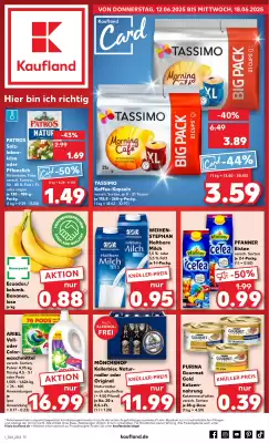 Kaufland Prospekt (gültig bis 18-06)