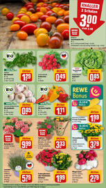 REWE Prospekt woche 24 Seite 7