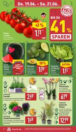 Aldi Nord Prospekt woche 25 Seite 26