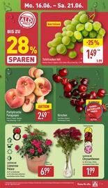 Aldi Nord Prospekt woche 25 Seite 3