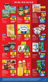 Lidl Prospekt woche 26 Seite 11