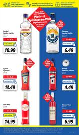 Lidl Prospekt woche 26 Seite 17
