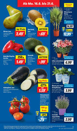 Lidl Prospekt woche 25 Seite 5
