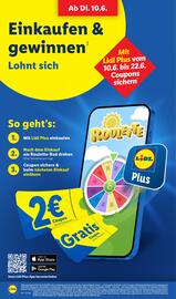Lidl Prospekt woche 26 Seite 60