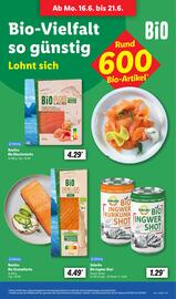 Lidl Prospekt woche 26 Seite 9