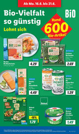 Lidl Prospekt woche 25 Seite 9