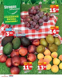Topaz Express gazetka tydzień 24 Strona 8