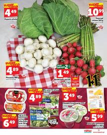 Topaz Express gazetka tydzień 24 Strona 9