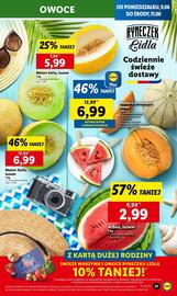 Lidl gazetka Strona 13