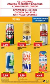 Lidl gazetka Strona 49
