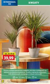 Lidl gazetka Strona 64