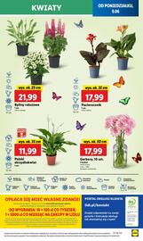 Lidl gazetka Strona 65