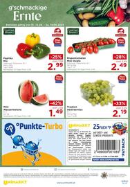 Unimarkt Flugblatt Seite 16