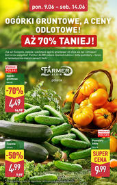 ALDI gazetka tydzień 24 Strona 4