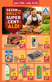 ALDI gazetka tydzień 24 Strona 8