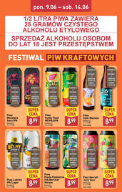 ALDI gazetka tydzień 24 Strona 9