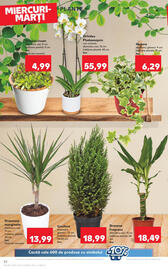 Catalog Kaufland săptămâna 24 Pagină 22