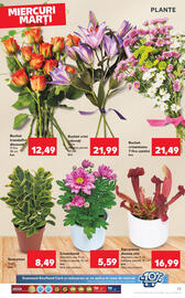 Catalog Kaufland săptămâna 24 Pagină 23