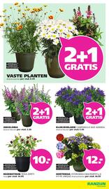 Ranzijn folder week 24 Pagina 4