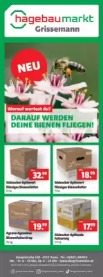 Der Grissemann Flugblatt (gültig bis 15-06)