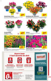 toom Baumarkt Prospekt woche 24 Seite 4
