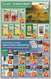 REWE Center Prospekt woche 24 Seite 19