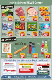 REWE Center Prospekt woche 24 Seite 3