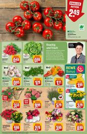 REWE Center Prospekt woche 24 Seite 7