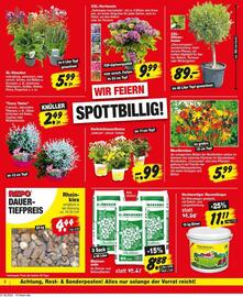 Repo Markt Prospekt Seite 2