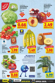 NP Discount Prospekt woche 24 Seite 2