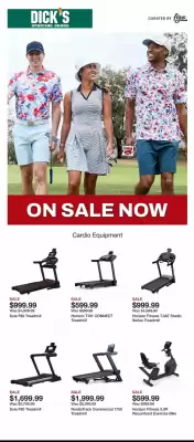 Dick's Sporting Goods Weekly Ad (valid until 8-06)