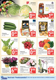 Marktkauf Prospekt Seite 4