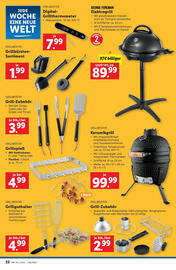 Lidl Flugblatt woche 24 Seite 24