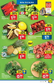 Lidl Flugblatt woche 24 Seite 13