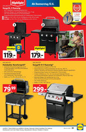 Lidl Flugblatt woche 24 Seite 25