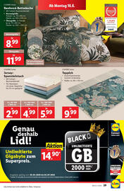 Lidl Flugblatt woche 24 Seite 33