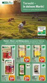 REWE tilbudsavis Side 25