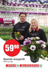Eurospar Kundeavis uke 24 Side 14
