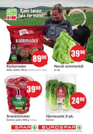 Eurospar Kundeavis uke 24 Side 2