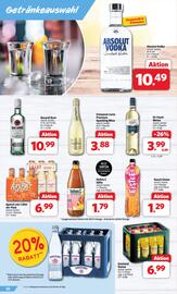 Markant Markt Prospekt woche 24 Seite 10